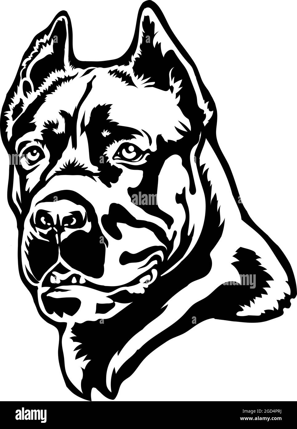 Illustration vectorielle de portrait de chien de canne Corso sur blanc Illustration de Vecteur
