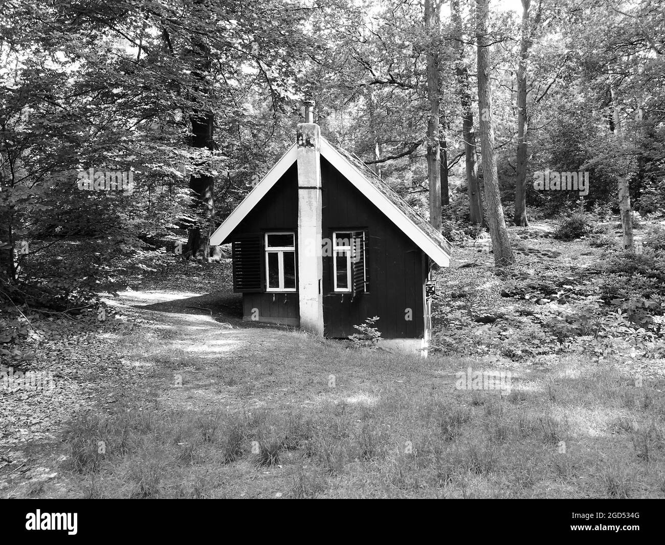 une petite maison inhabitée dans les bois en noir et blanc Banque D'Images