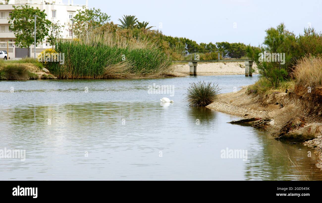 Parc fluvial de Cubelles à Barcelone, Catalogne, Espagne, Europe Banque D'Images