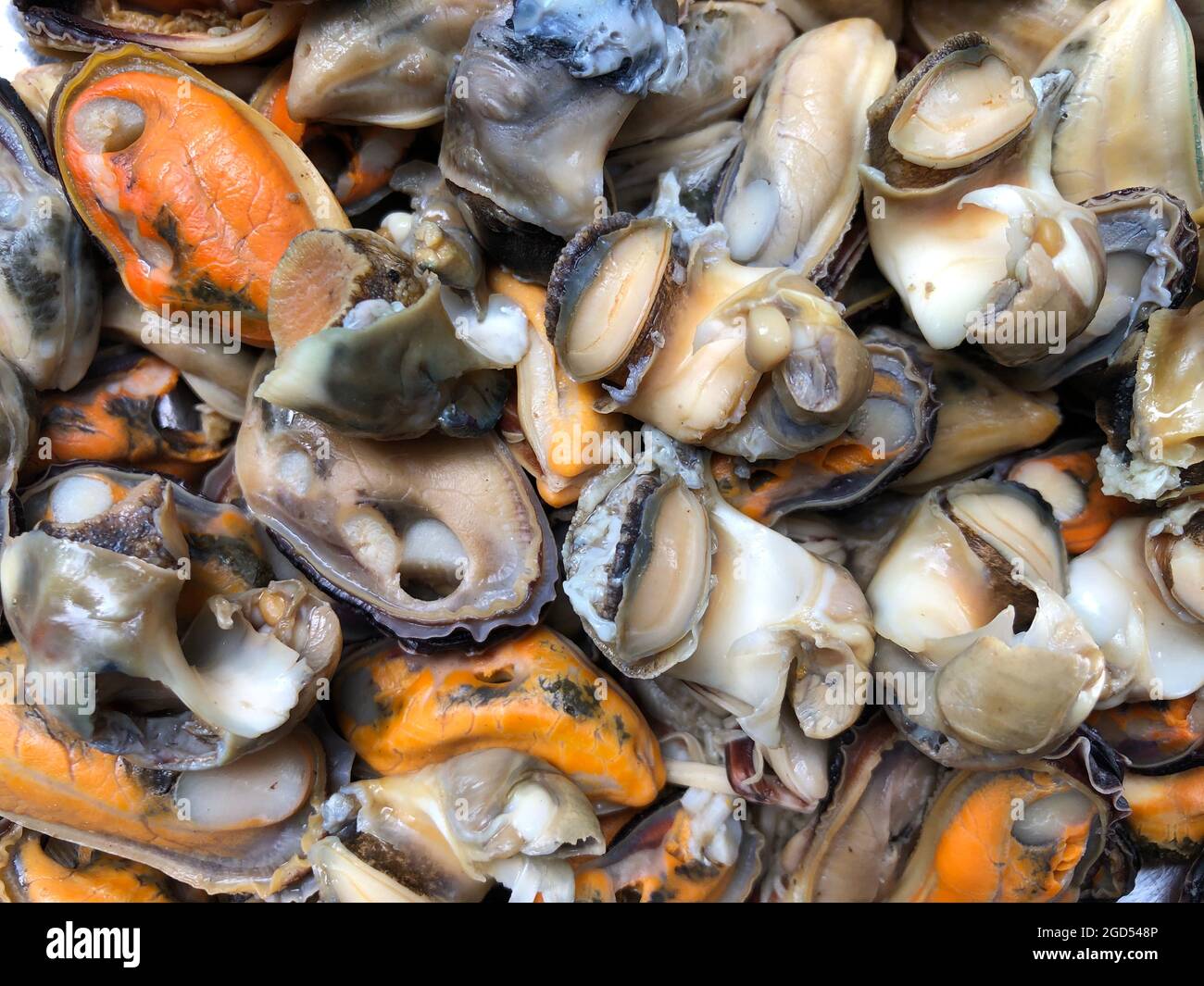 Vue en gros plan de la viande de moules fraîche congelée Banque D'Images