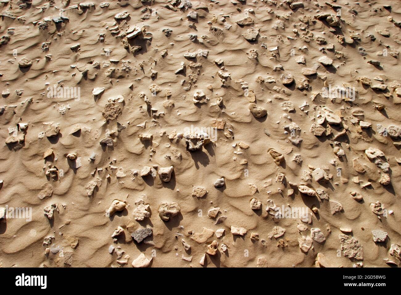 pierres, rochers et galets, partiellement incrustés dans le sable balayé par le vent Banque D'Images