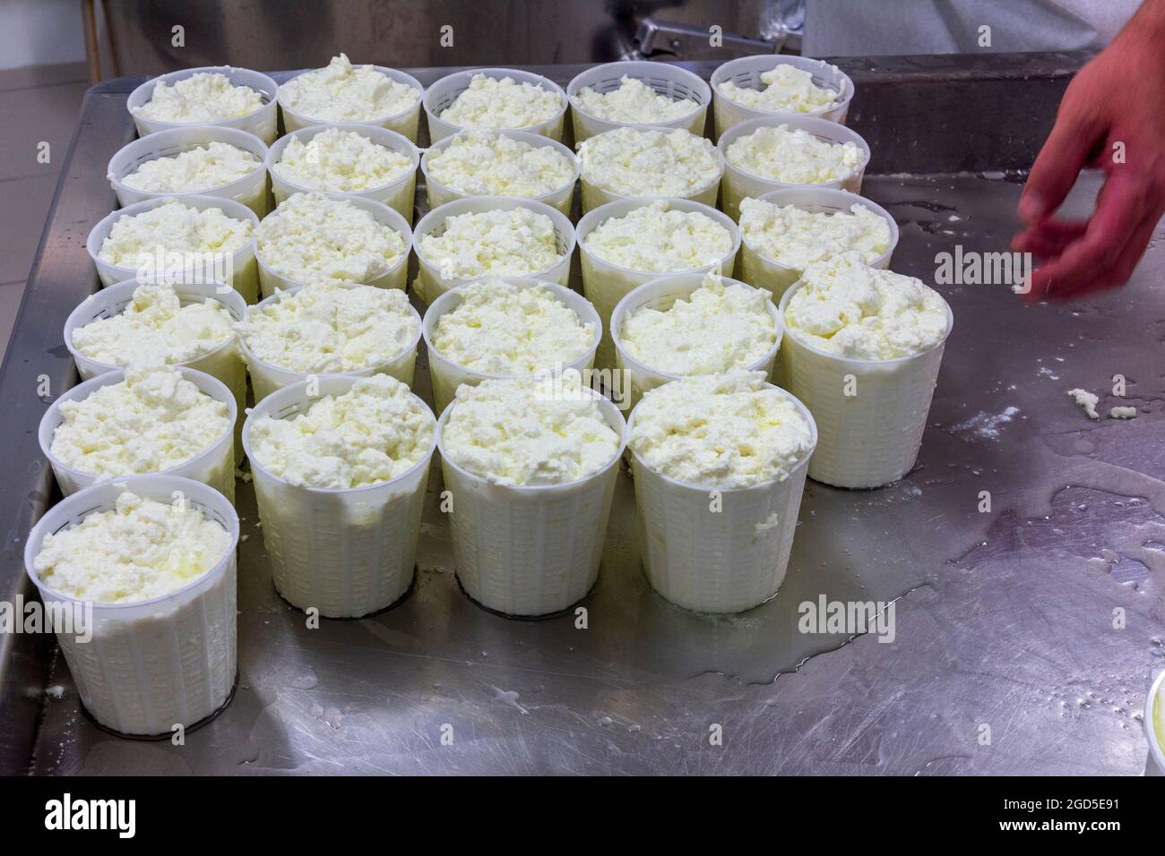 Phases de production de ricotta dans une usine de fromage en Grèce Banque D'Images