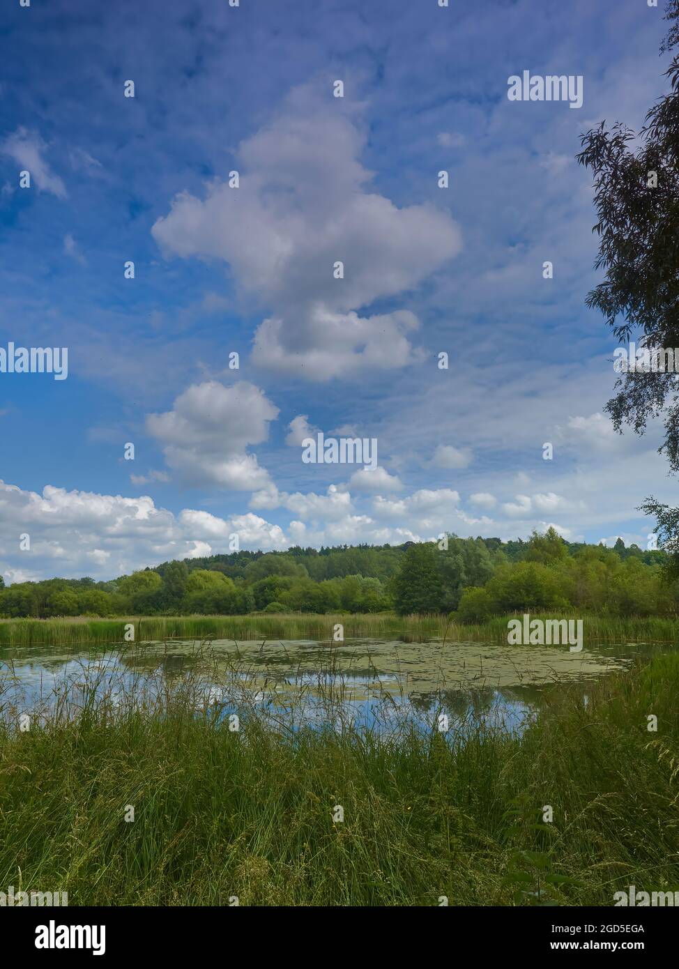 Un immense ciel bleu d'été très nuageux surplombant des collines boisées, une pelouse longue et un lac dans la campagne britannique. Banque D'Images