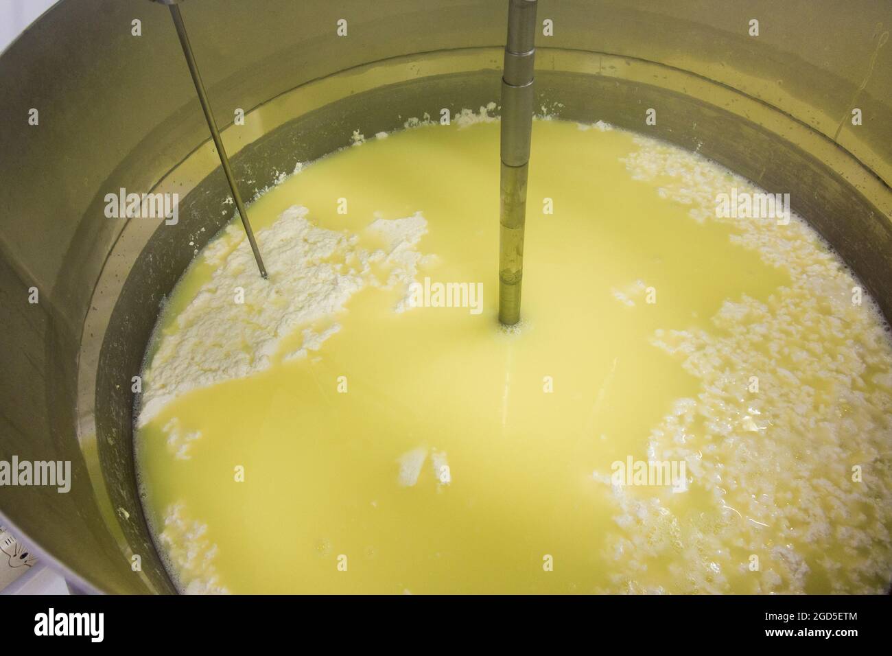 Phases de production de ricotta dans une usine de fromage en Grèce Banque D'Images