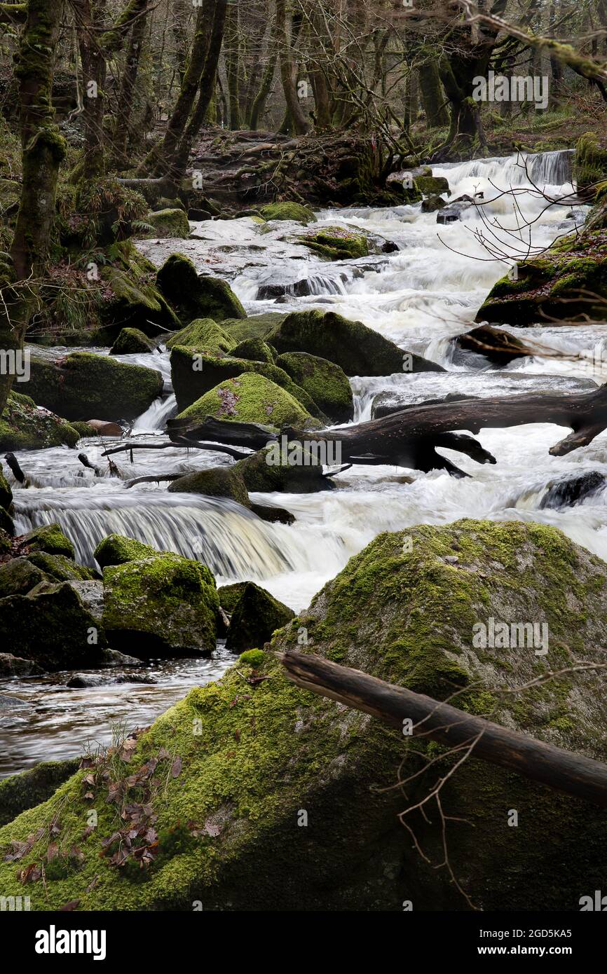 La rivière Fowey passant par Golita tombe Bodmin Moor Banque D'Images