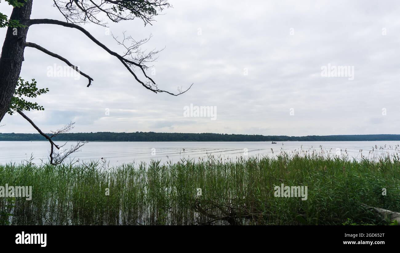 Vue sur le lac Plauer Voir bateau de pêcheur dans le Mecklembourg Banque D'Images
