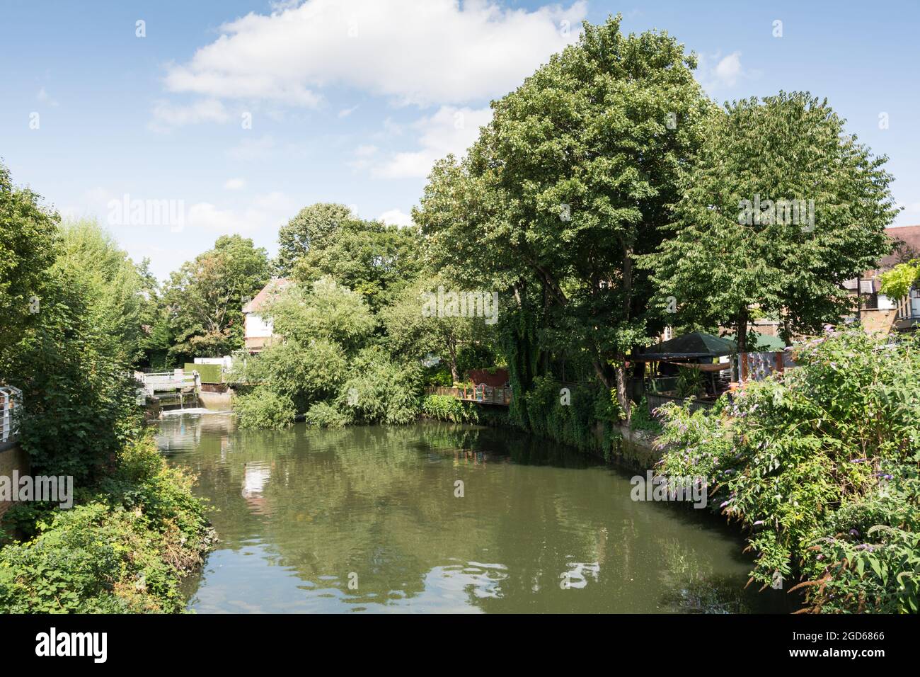 Une scène tranquille sur la rivière Brant à côté de Brentford Gauging Locks, Hounslow, Middlesex, Angleterre, Royaume-Uni Banque D'Images