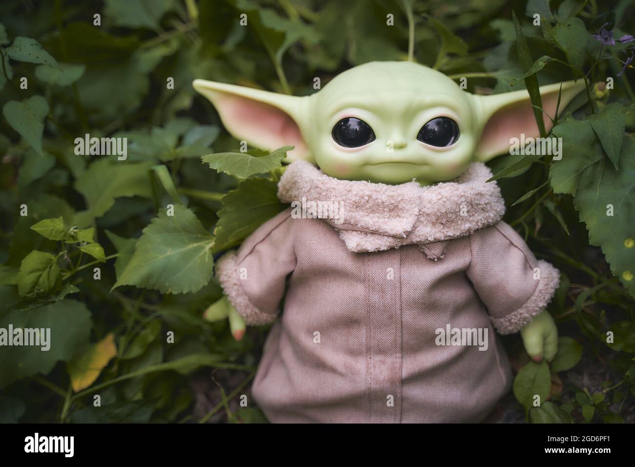 Aout 21 Exposition De Baby Yoda Une Action Dans La Foret Star Wars Photo Stock Alamy