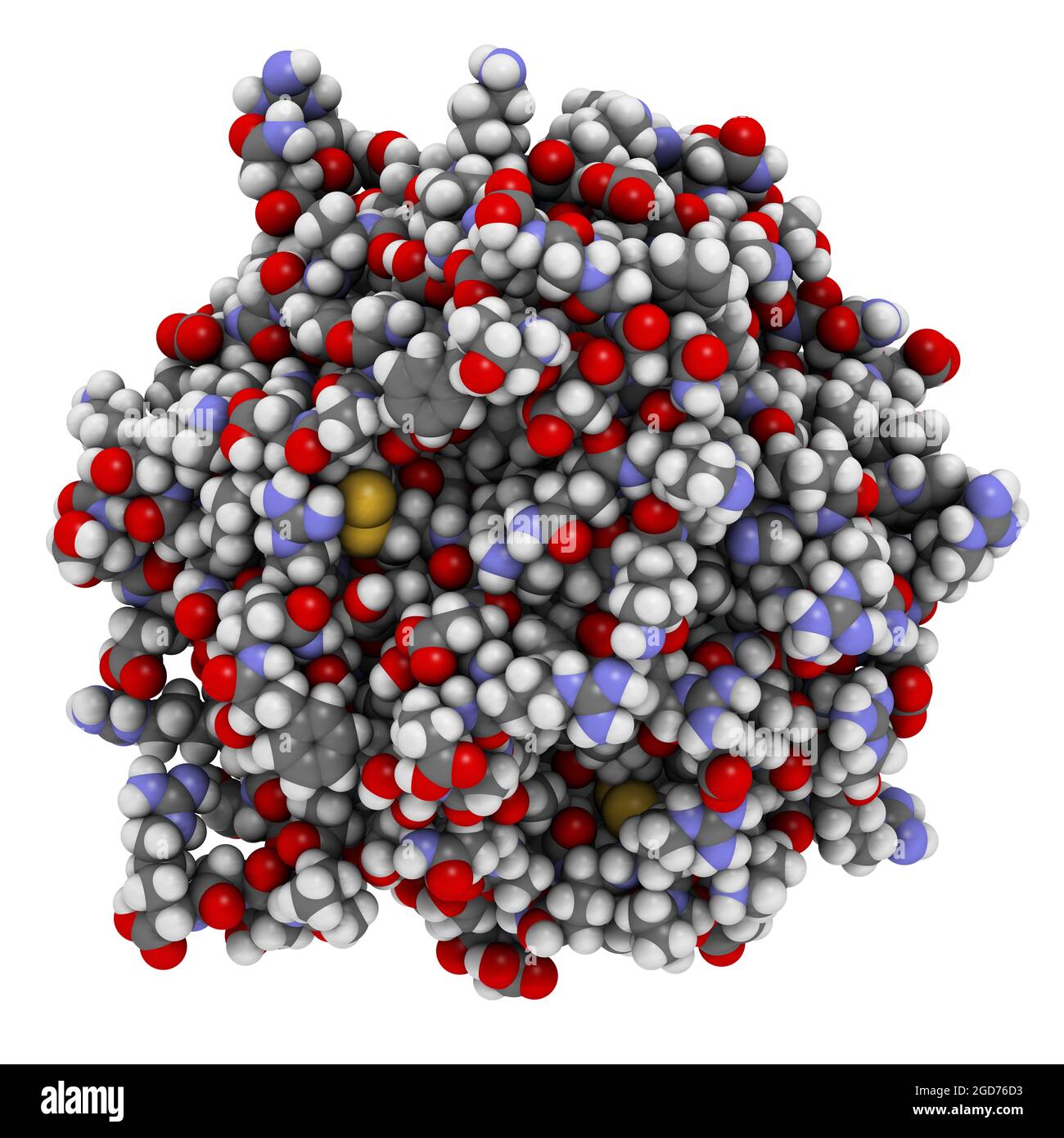 Enzyme de coagulation sanguine de thrombine. Illustration 3D. Banque D'Images