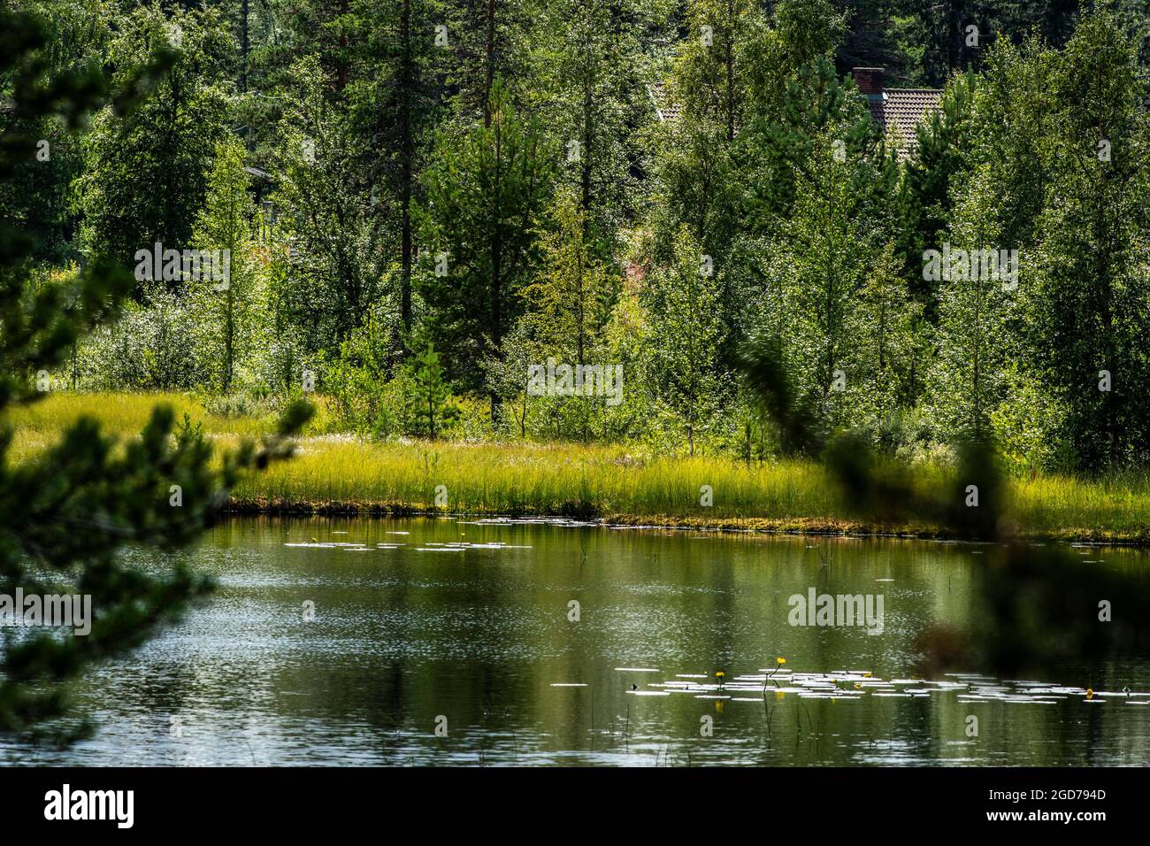 Paysage de Lygna avec lac et arbres, Norvège Banque D'Images