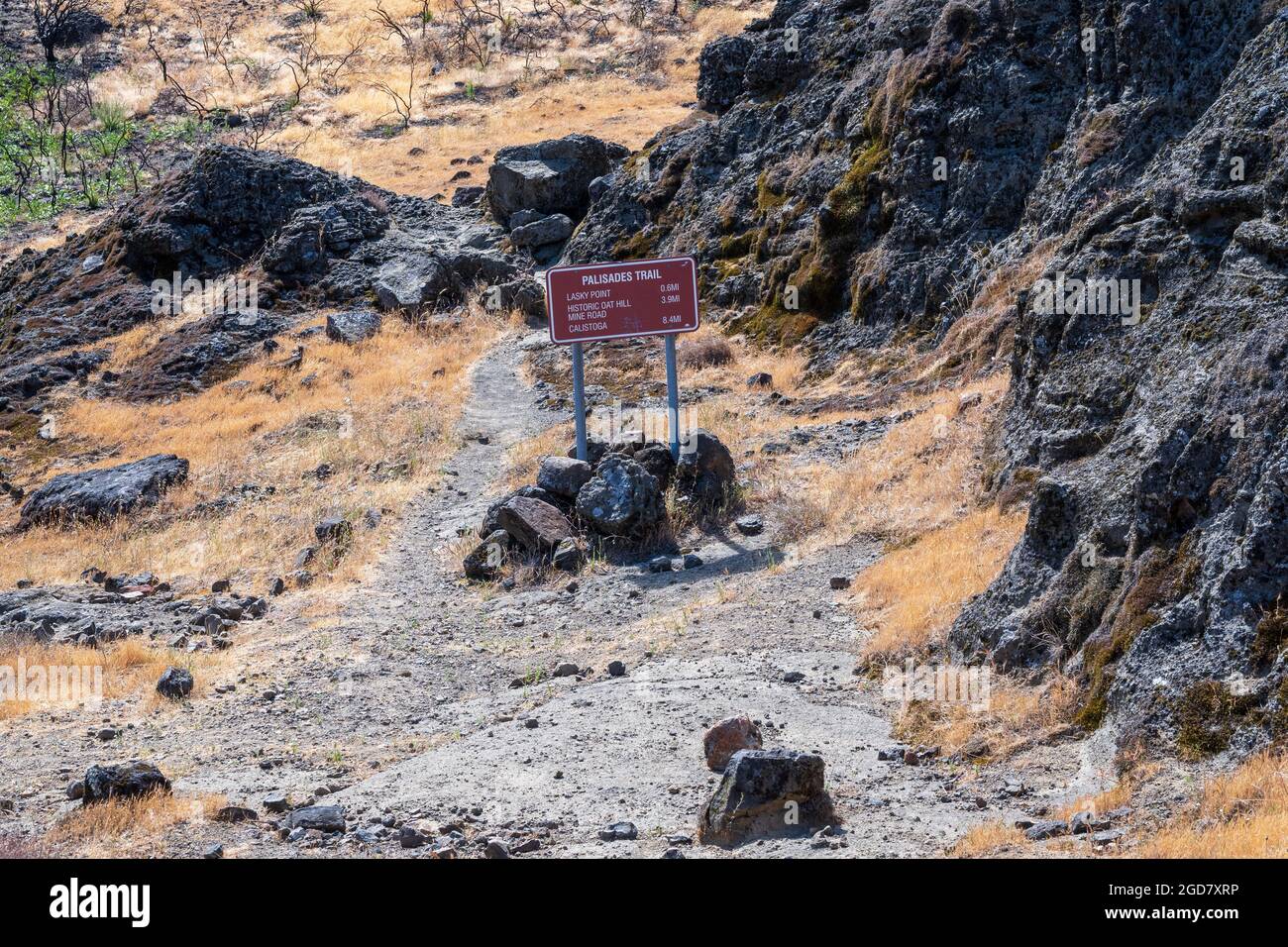 Partie brûlée du chemin le long du parc d'État Robert Louis Stevenson, comté de Napa, Californie, États-Unis, chemin de Palisades près de Table Rock Banque D'Images