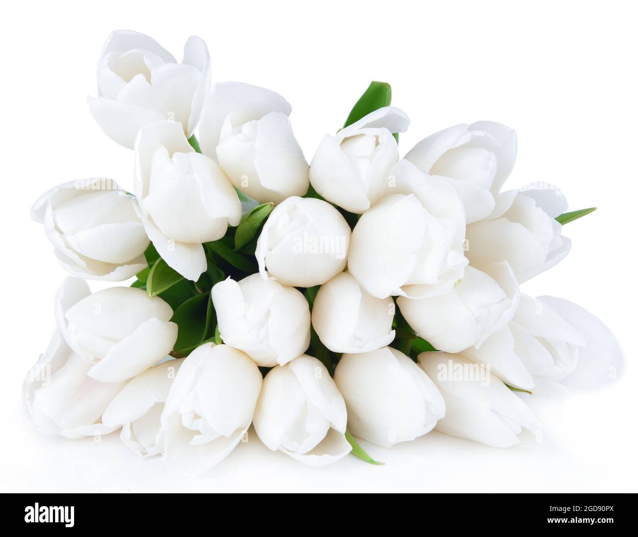Beau bouquet de tulipes blanches isolées sur blanc Photo Stock - Alamy
