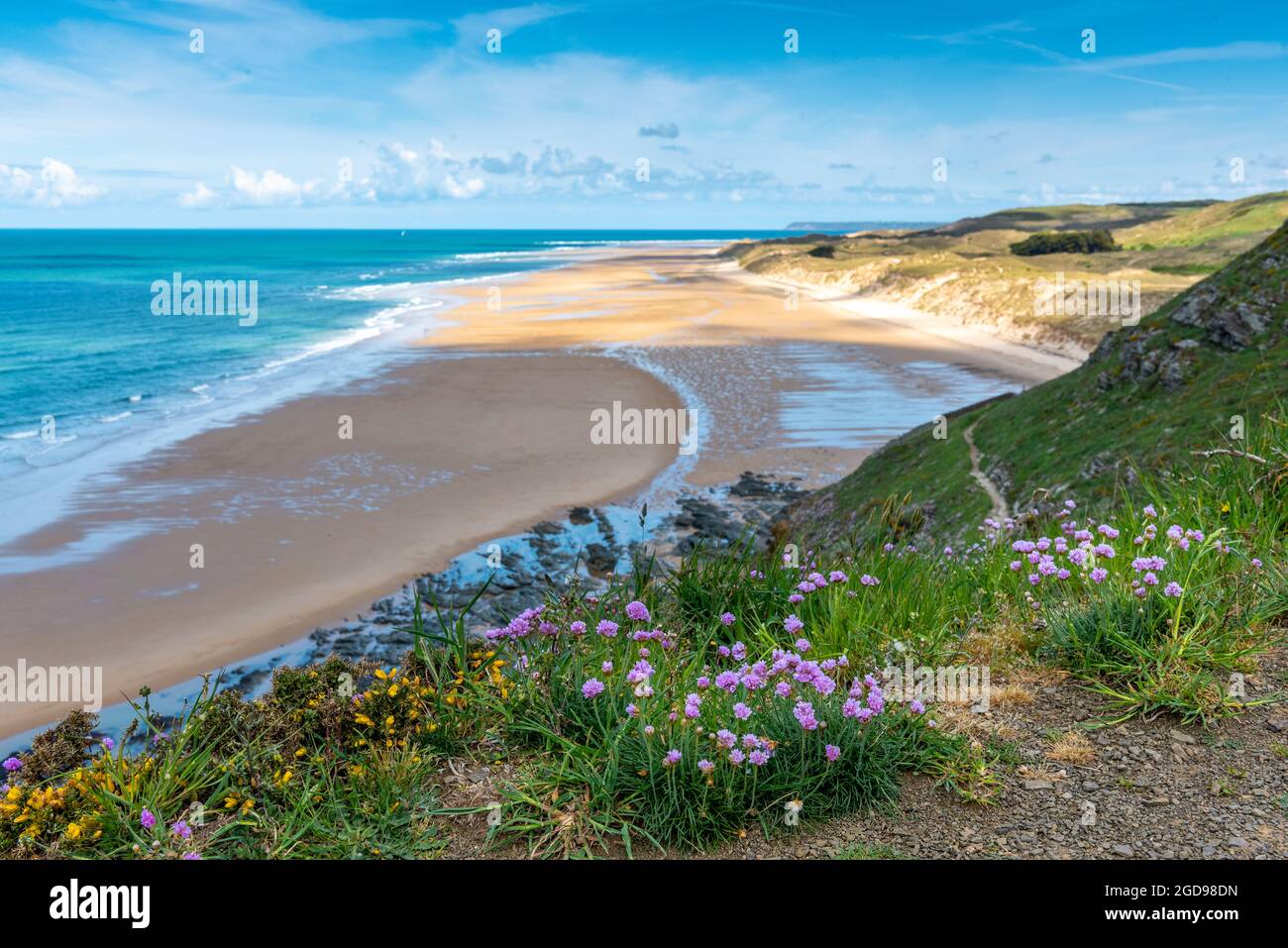 Armeria maritima-Gazon d'Espagne-Oeillet de mer sur le bord d'une falaise, France, Manche, Printemps. Banque D'Images