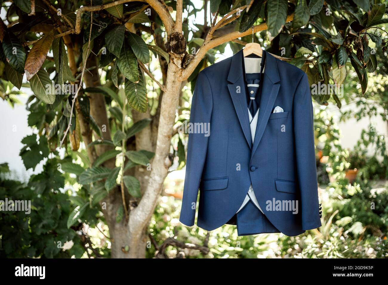 Élégant costume bleu foncé avec gilet et cravate accrochés à un arbre Banque D'Images