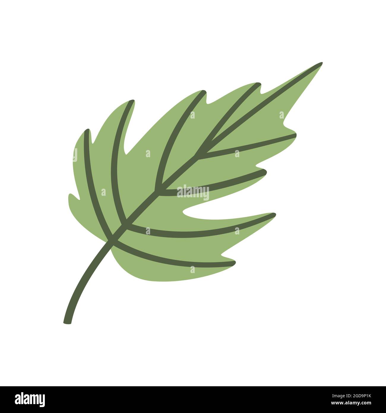Icône plate et mignonne de feuilles vertes. Elément d'automne, objet. Élément décoratif, clipart pour la conception de cartes de vœux, bannières publicitaires et dépliants Illustration de Vecteur