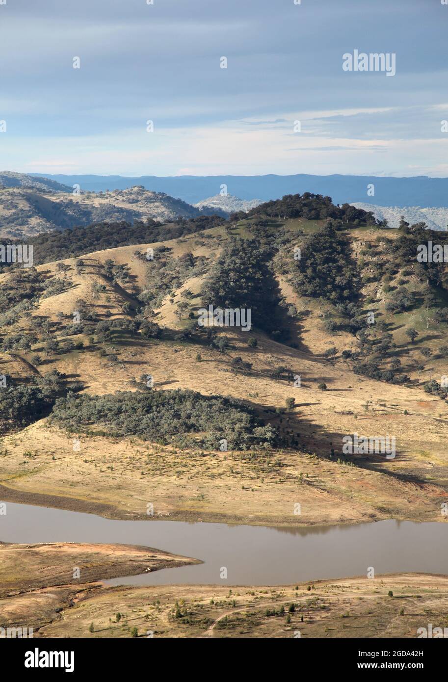 Un paysage de campagne australien dans le parc national de Wyangala Waters près de Cowra, dans le centre de la Nouvelle-Galles du Sud. Banque D'Images