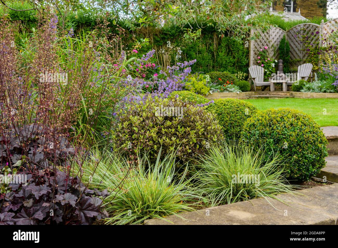 Jardin privé paysagé coloré en été (design contemporain, boules de buxus, bordure, lits surélevés, chaises adirondack, Pelouse) - Yorkshire Angleterre Royaume-Uni. Banque D'Images