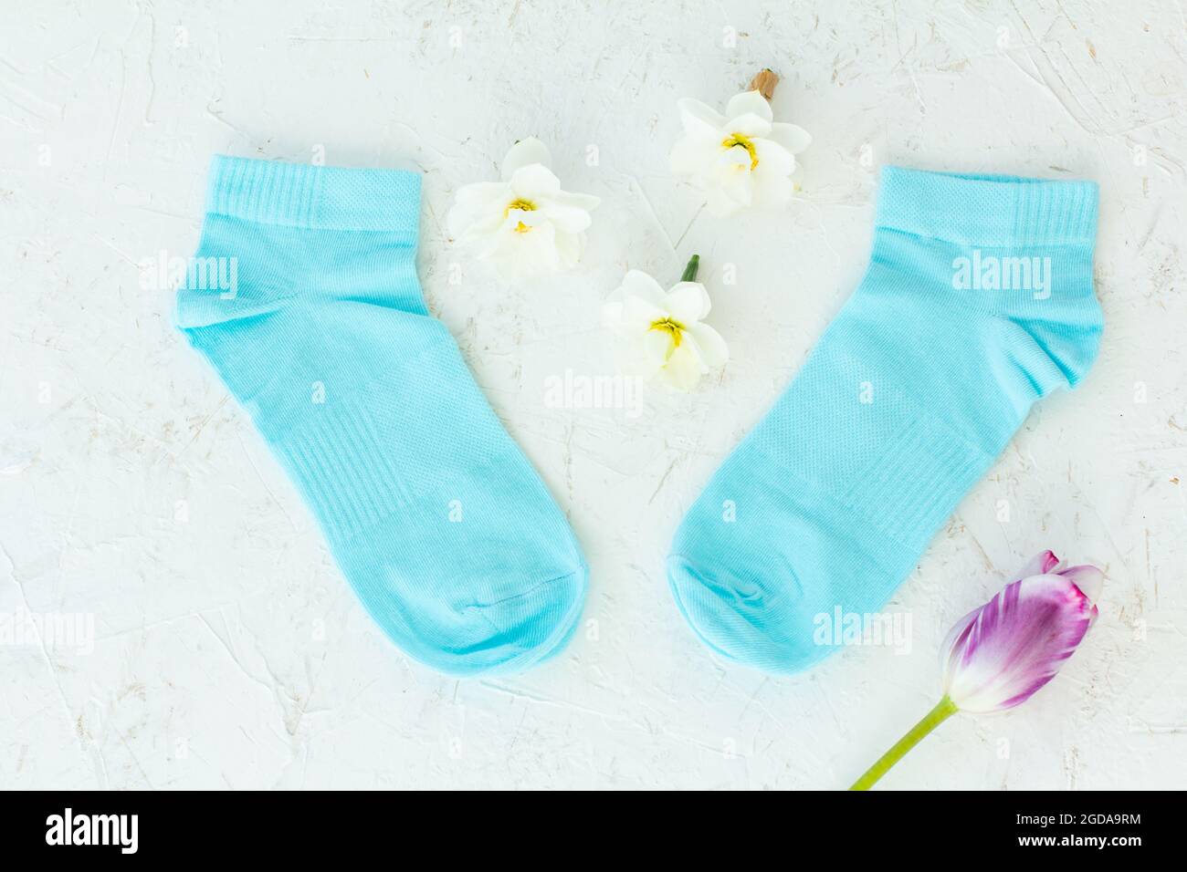 Paire de chaussettes bleues, tulipe et bourgeons de fleurs de jonquilles sur fond blanc structuré, vue de dessus. Banque D'Images