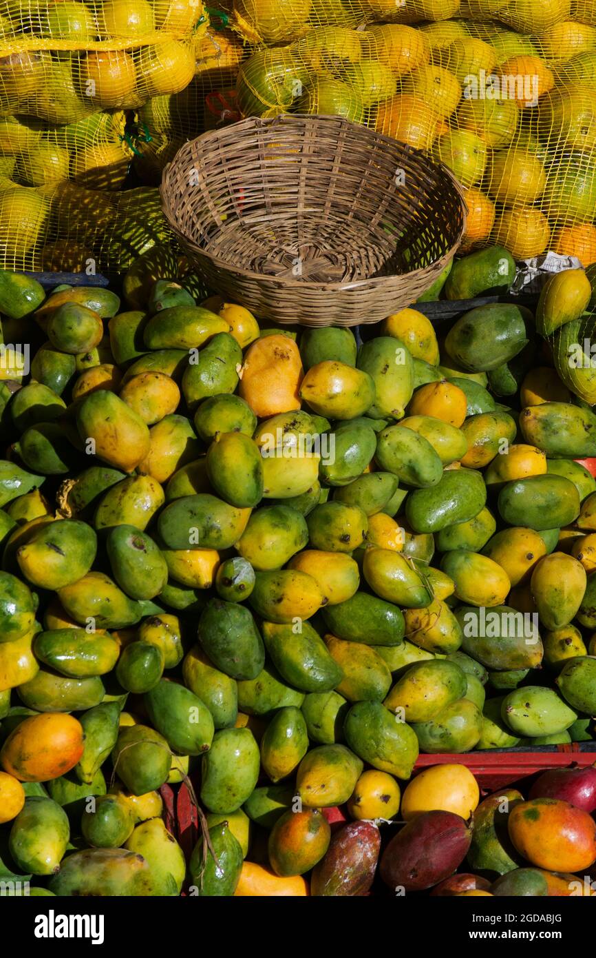 Oranges et mangues à vendre dans un bar du marché ouvert. Caraçari, Bahia, Brésil. Banque D'Images
