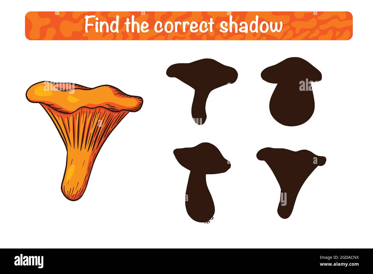 Trouvez le jeu éducatif d'ombre Chanterelle correct pour les enfants.Activité d'appariement des ombres pour les enfants aux champignons comestibles.Puzzle préscolaire.Feuille de travail pédagogique.Trouvez le jeu de silhouette correct Illustration de Vecteur