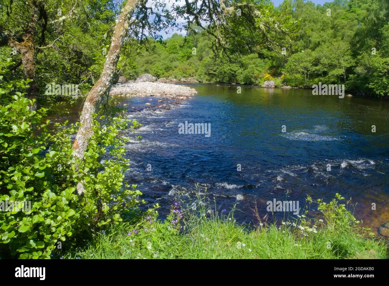Belle Allt Doe River, B862, Glen Doe, près de fort Augustus, court dans Loch, Ness, secret côté sud du loch, proche, touriste, marche, visiteur, wal Banque D'Images