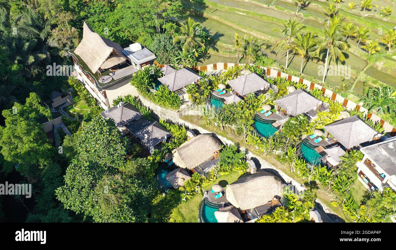 Hôtel avec vue aérienne Resort à Ubud est l'un des hôtels de luxe à Ubud.  Vue de haut en bas de l'hôtel Resort dans la jungle près de Rice Field, Bali,  Indonésie