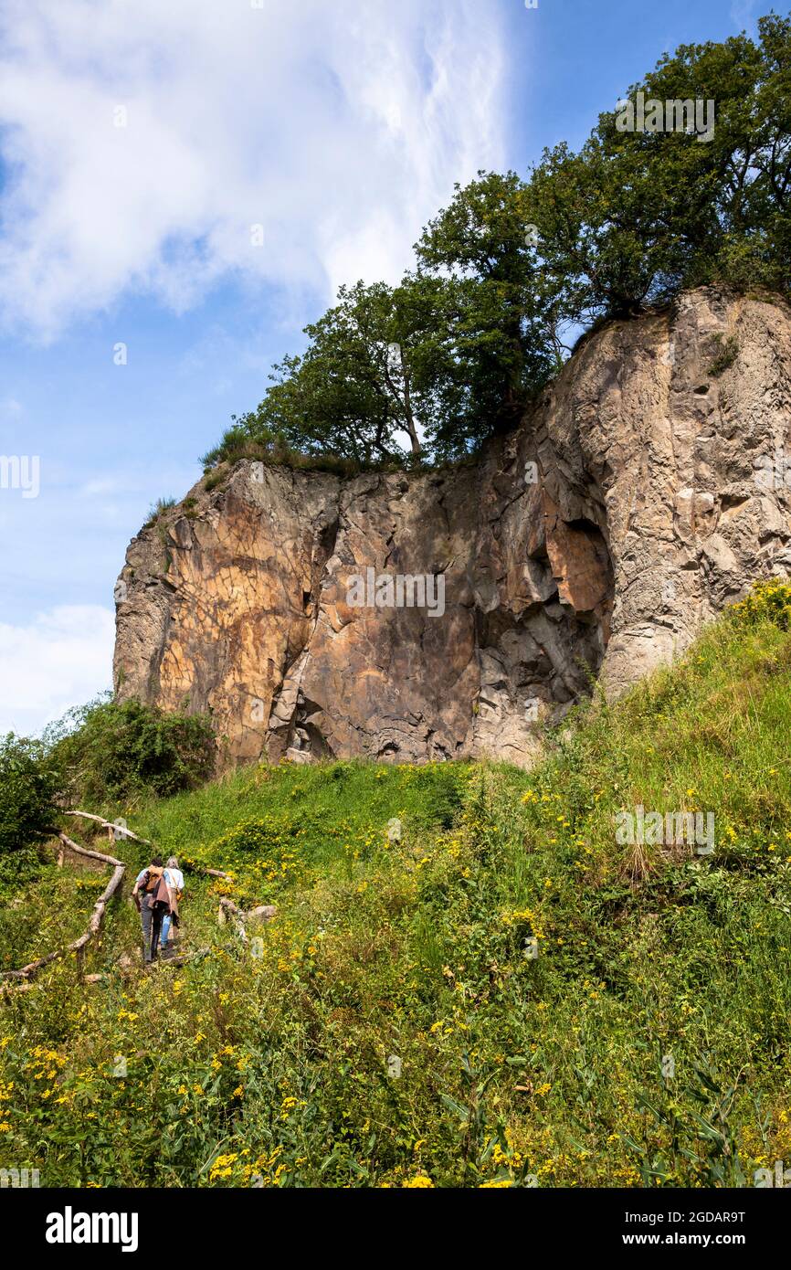 Mur de roche de la montagne Stenzelberg dans la chaîne de colline de Siebengebirge près de Koenigswinter, la montagne a servi de carrière pour la latite de quartz jusqu'à la Banque D'Images