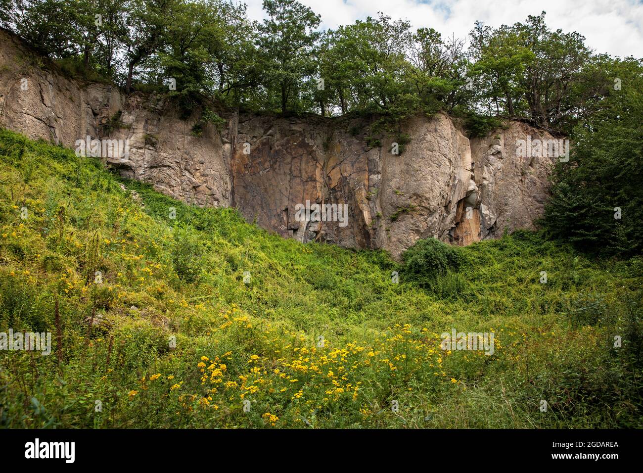 Mur de roche de la montagne Stenzelberg dans la chaîne de colline de Siebengebirge près de Koenigswinter, la montagne a servi de carrière pour la latite de quartz jusqu'à la Banque D'Images