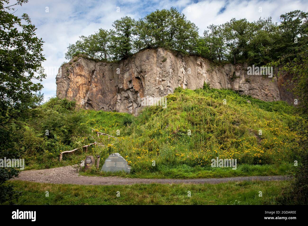 Mur de roche de la montagne Stenzelberg dans la chaîne de colline de Siebengebirge près de Koenigswinter, la montagne a servi de carrière pour la latite de quartz jusqu'à la Banque D'Images