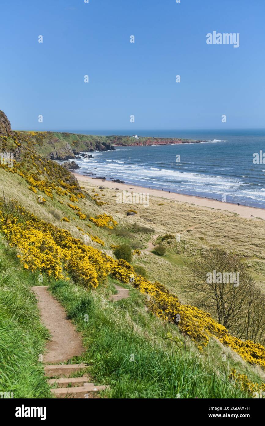 St Cyrus, visiteur, plage, marches, Angus, Lumineux, ensoleillé, célèbre plage, est, côte, Aberdeenshire, région des Highlands, Écosse, Royaume-Uni Banque D'Images