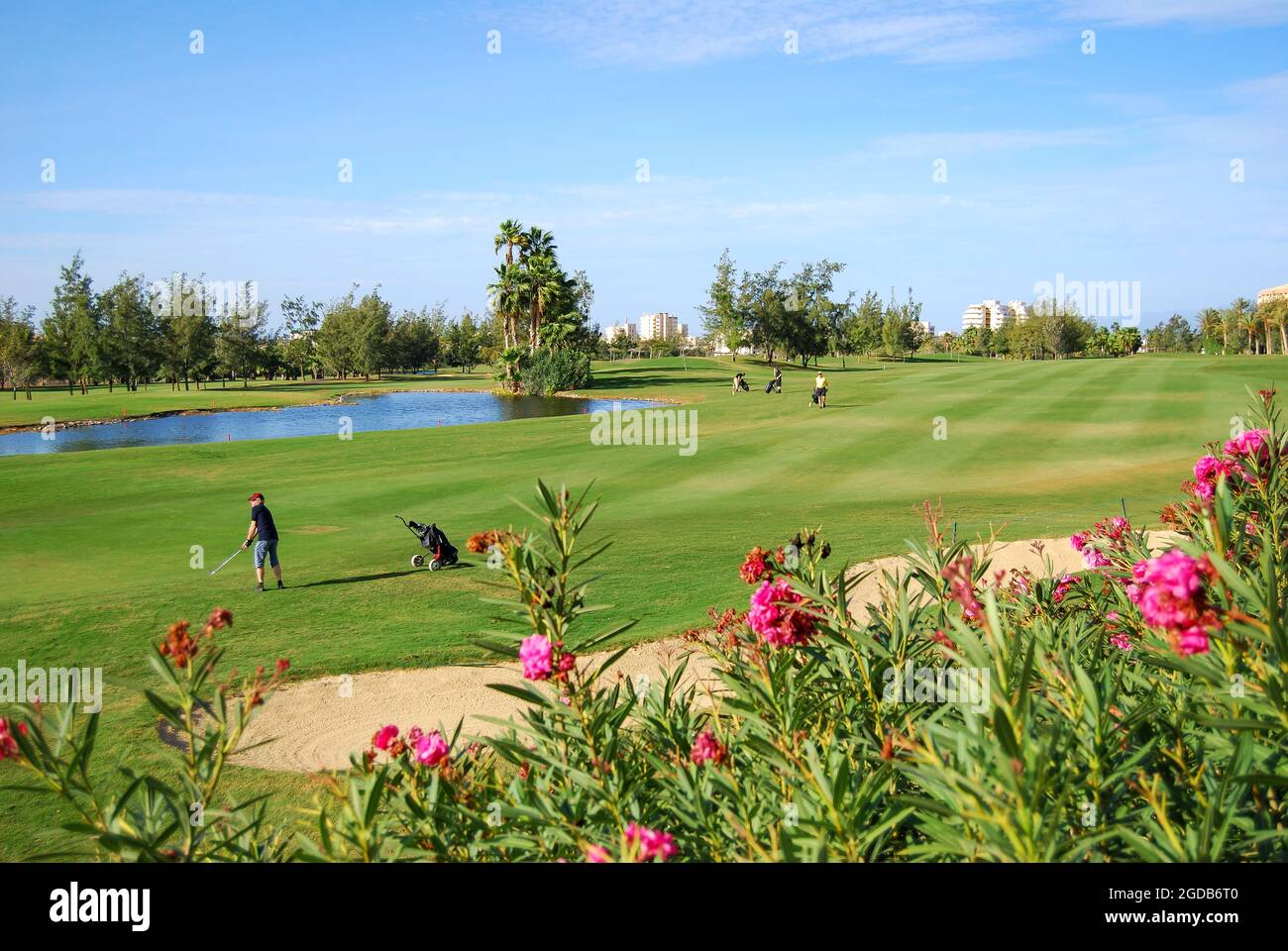 Vue sur fairway, golf Las Americas, Playa de las Americas, Tenerife, Canaries, Espagne Banque D'Images