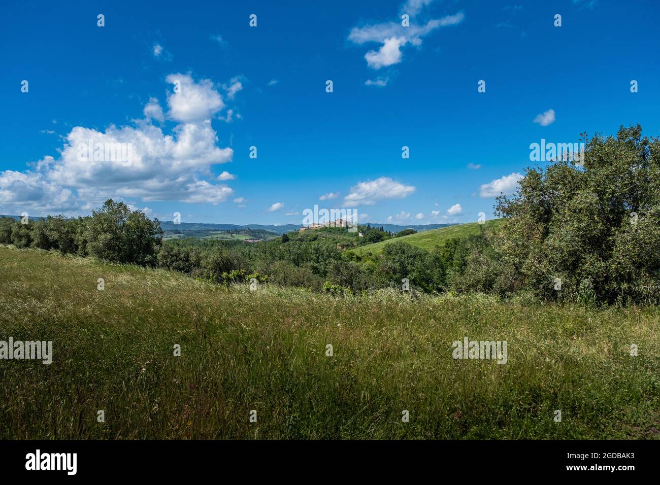 Trekking à Certaldo pour découvrir les ravins de Casale, un paysage aux phénomènes érosifs avec une visite finale à l'ancien village de Certaldo, prov Banque D'Images