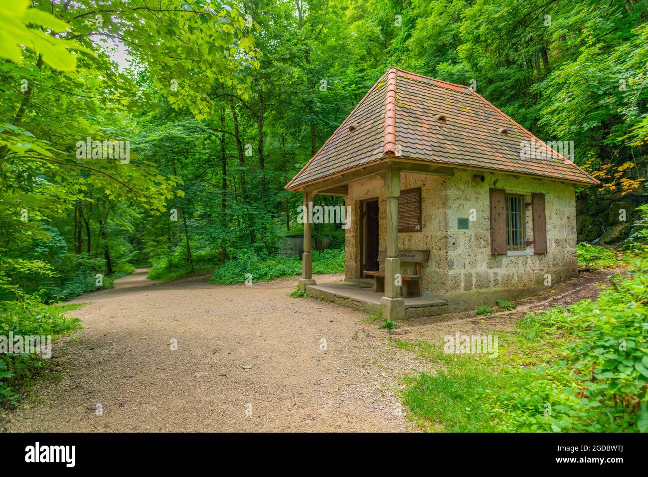 Le long du sentier de randonnée Wasserfallsteig, réserve de biosphère de l'Alb swabian, Bade-Wurtemberg, sud de l'Allemagne, Europe Banque D'Images