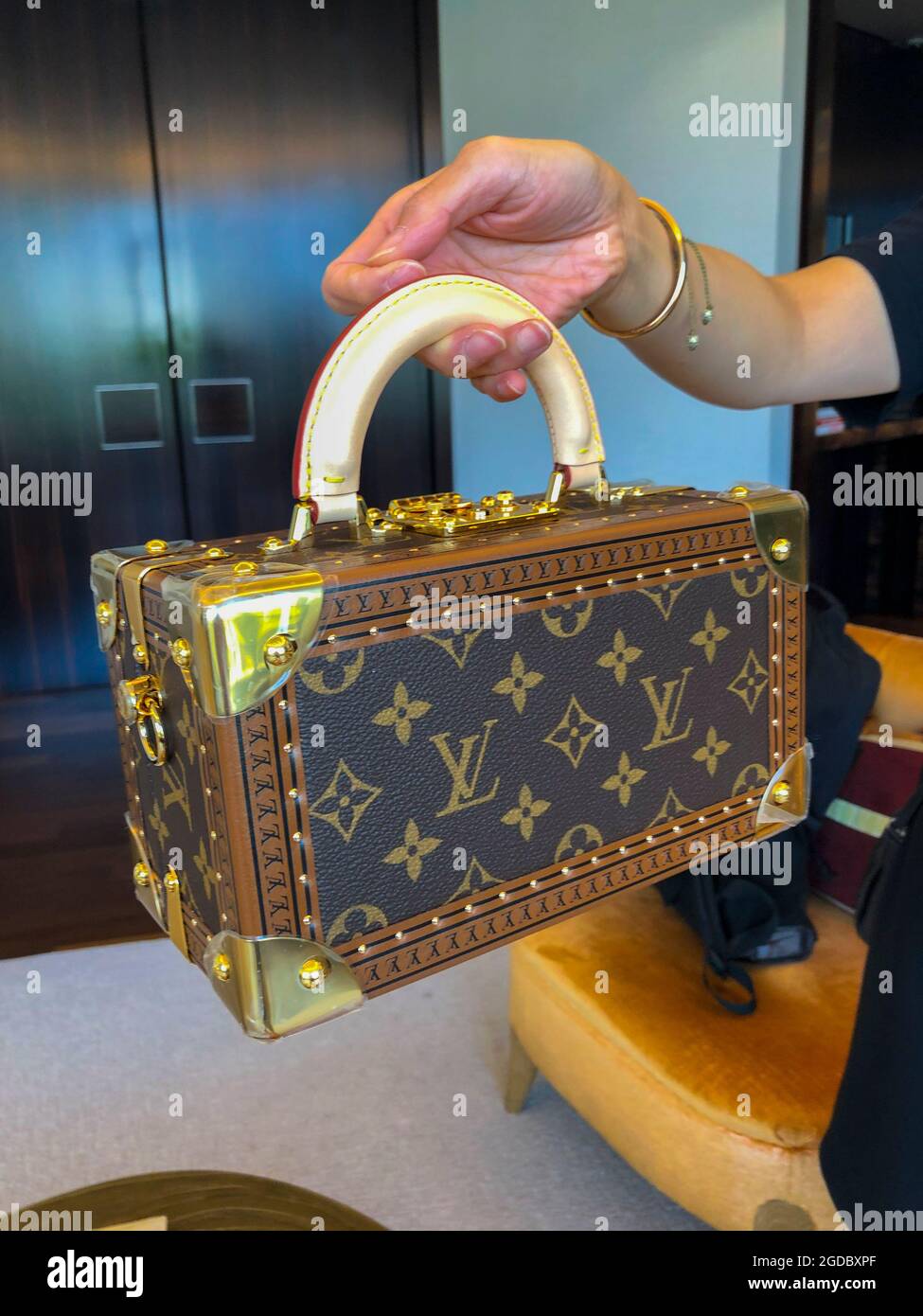 Paris, France, gros plan, femme tenant un sac à main de luxe cher, Louis  Vuitton Store, LVMH, designer de mode, Prestige Consumer Photo Stock - Alamy