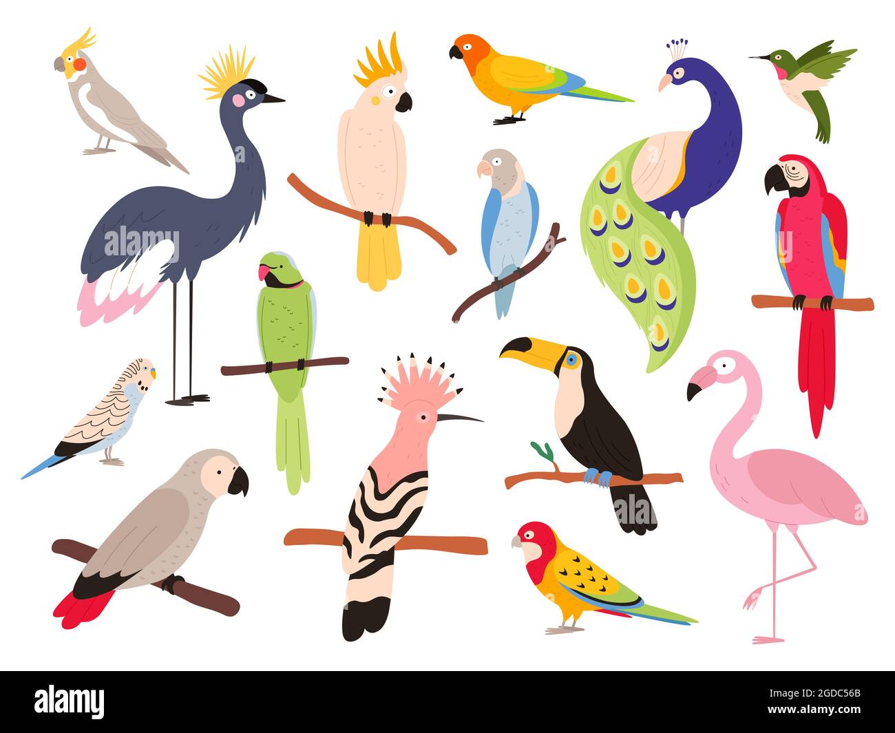 Perroquets plats et oiseaux de la jungle tropicale volant et assis. Macaw, parakeet, ara et perroquet exotique de colombie. Ensemble de vecteurs d'oiseaux Toucan et emu Illustration de Vecteur