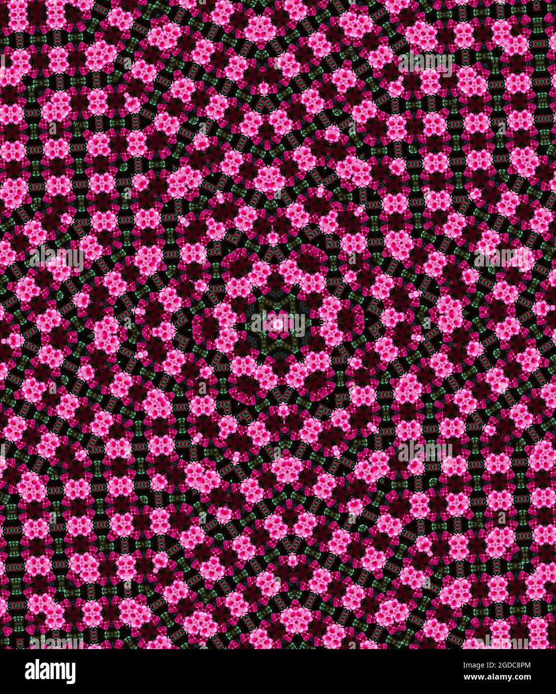 motif étoile en cerisier Banque D'Images