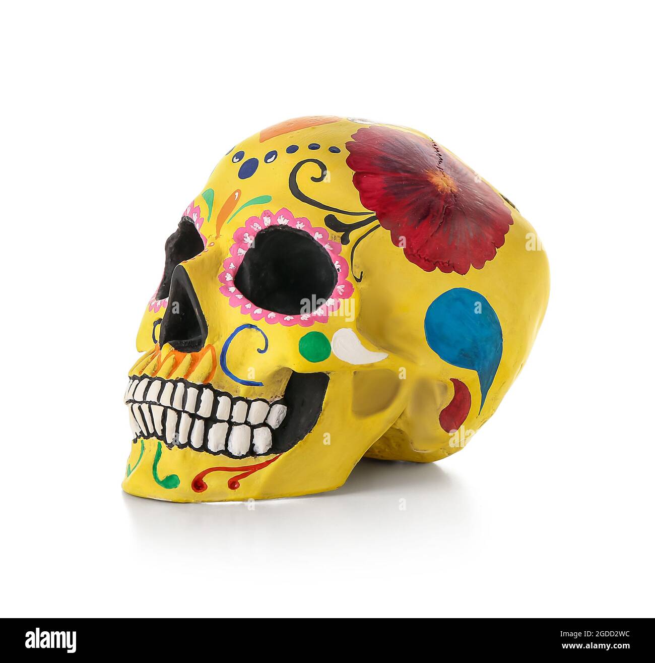 Crâne humain peint pour la Journée des morts du Mexique (El Dia de Muertos) sur fond blanc Banque D'Images
