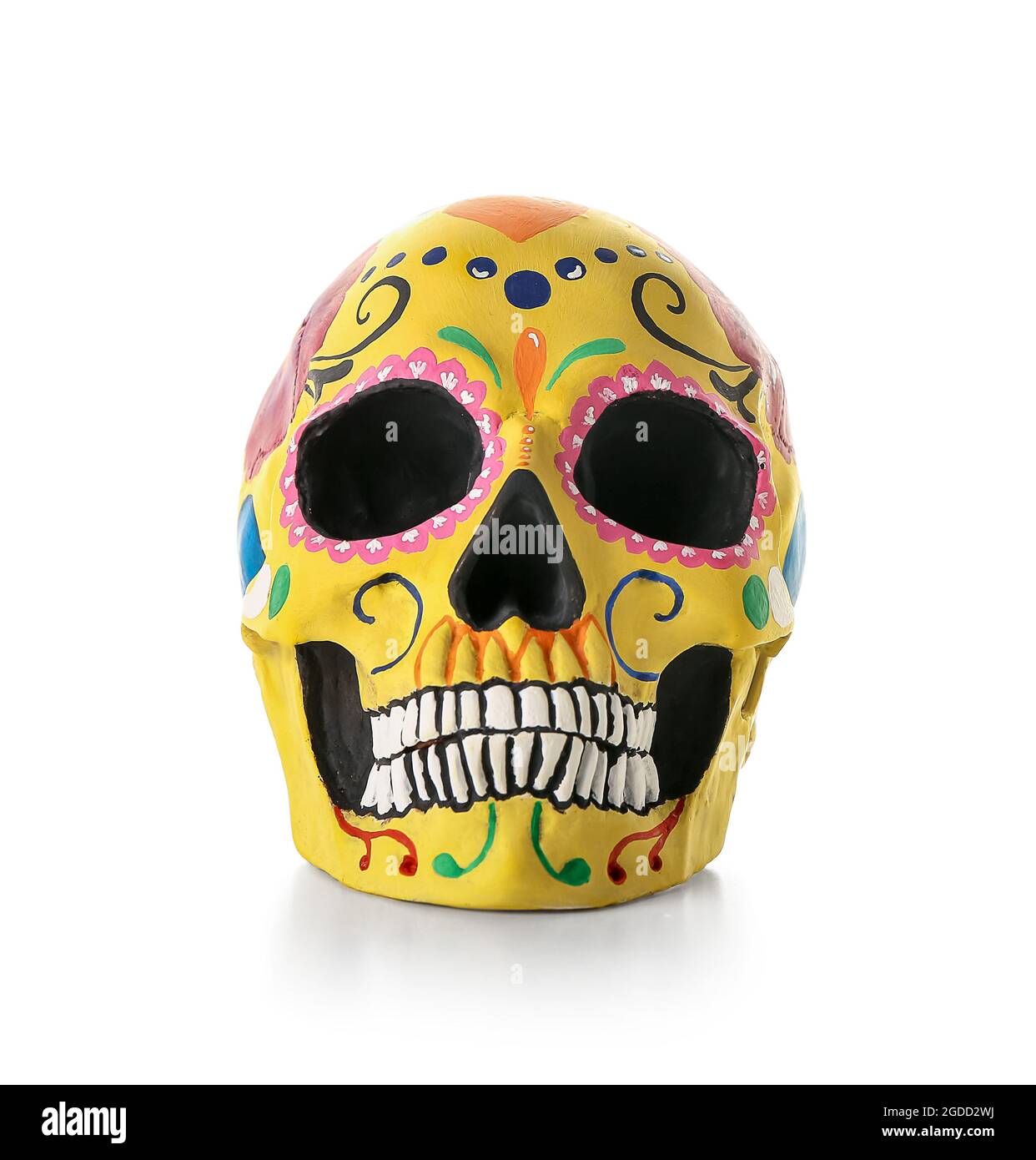 Crâne humain peint pour la Journée des morts du Mexique (El Dia de Muertos) sur fond blanc Banque D'Images