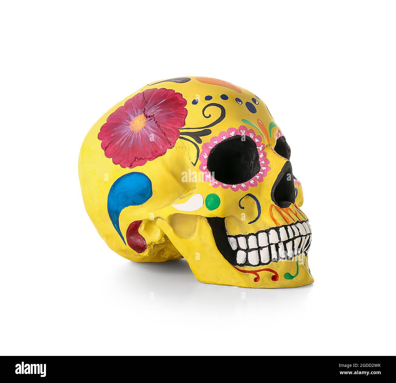 Crâne humain peint pour la Journée des morts du Mexique (El Dia de Muertos) sur fond blanc Banque D'Images