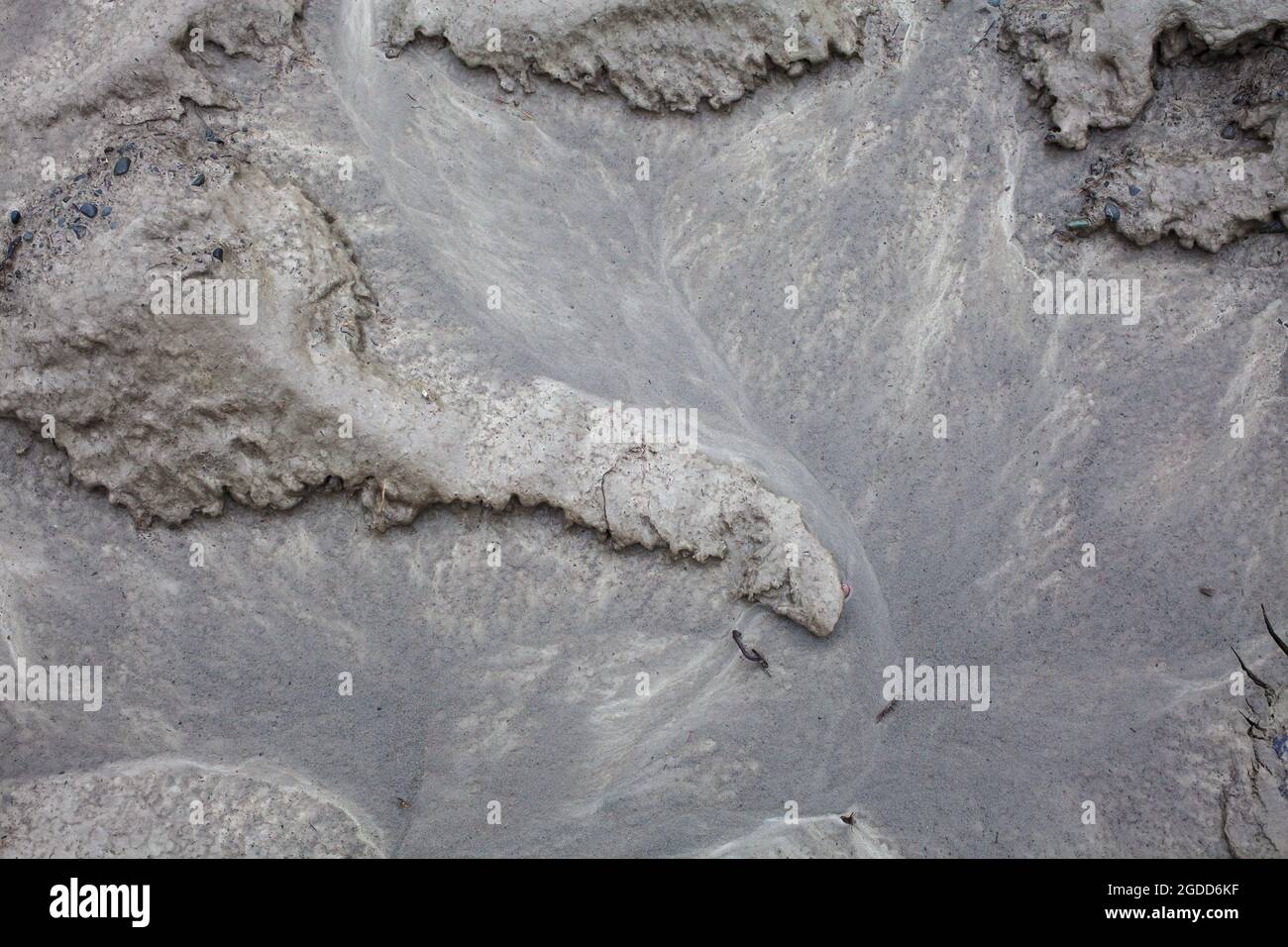 Caractéristiques géographiques à micro-échelle dans le limon après une inondation de rivière. Le paysage ressemble à des images satellites, avec des canyons, des vallées fluviales, des deltas, des gorges. Banque D'Images