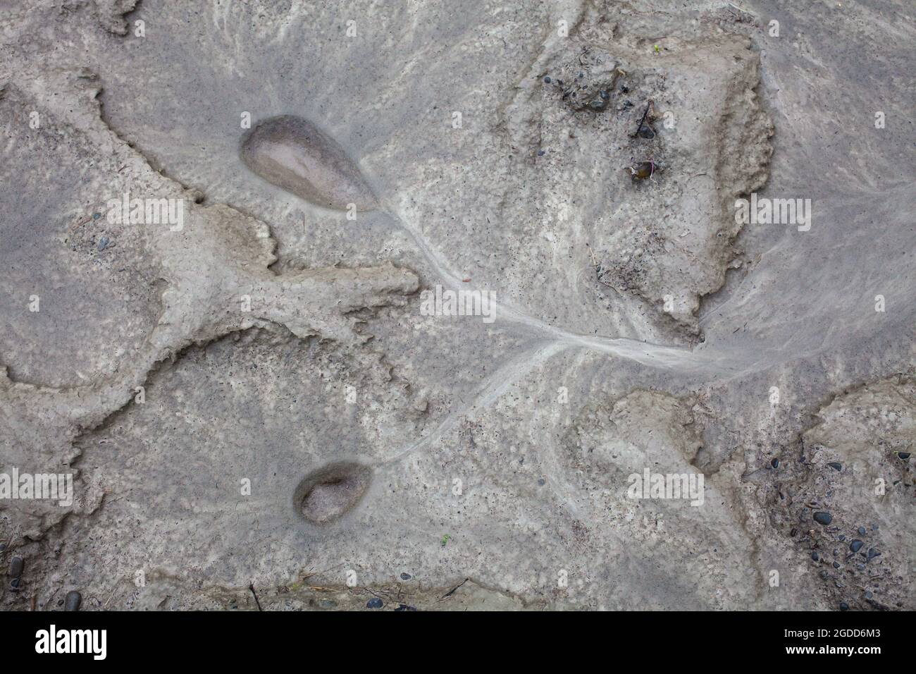 Caractéristiques géographiques à micro-échelle dans le limon après une inondation de rivière. Le paysage ressemble à des images satellites, avec des canyons, des vallées fluviales, des deltas, des gorges. Banque D'Images