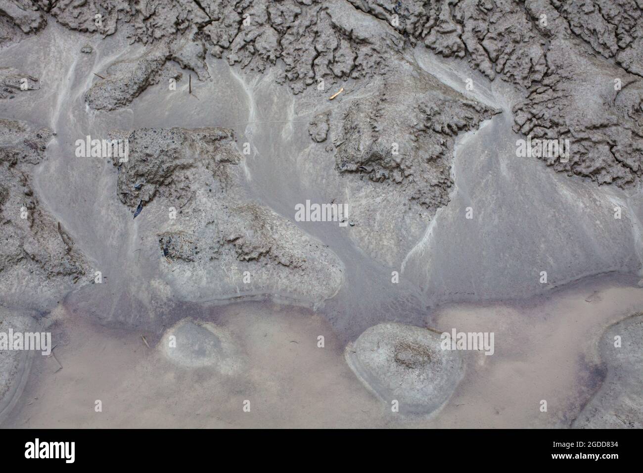 Caractéristiques géographiques à micro-échelle dans le limon après une inondation de rivière. Le paysage ressemble à des images satellites, avec des canyons, des vallées fluviales, des deltas, des gorges. Banque D'Images