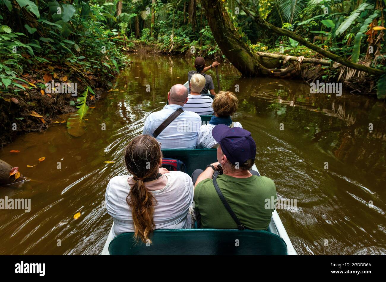 Transport en canoë excursion touristique le long des rivières du bassin de la forêt amazonienne, parc national Yasuni, Équateur. Banque D'Images