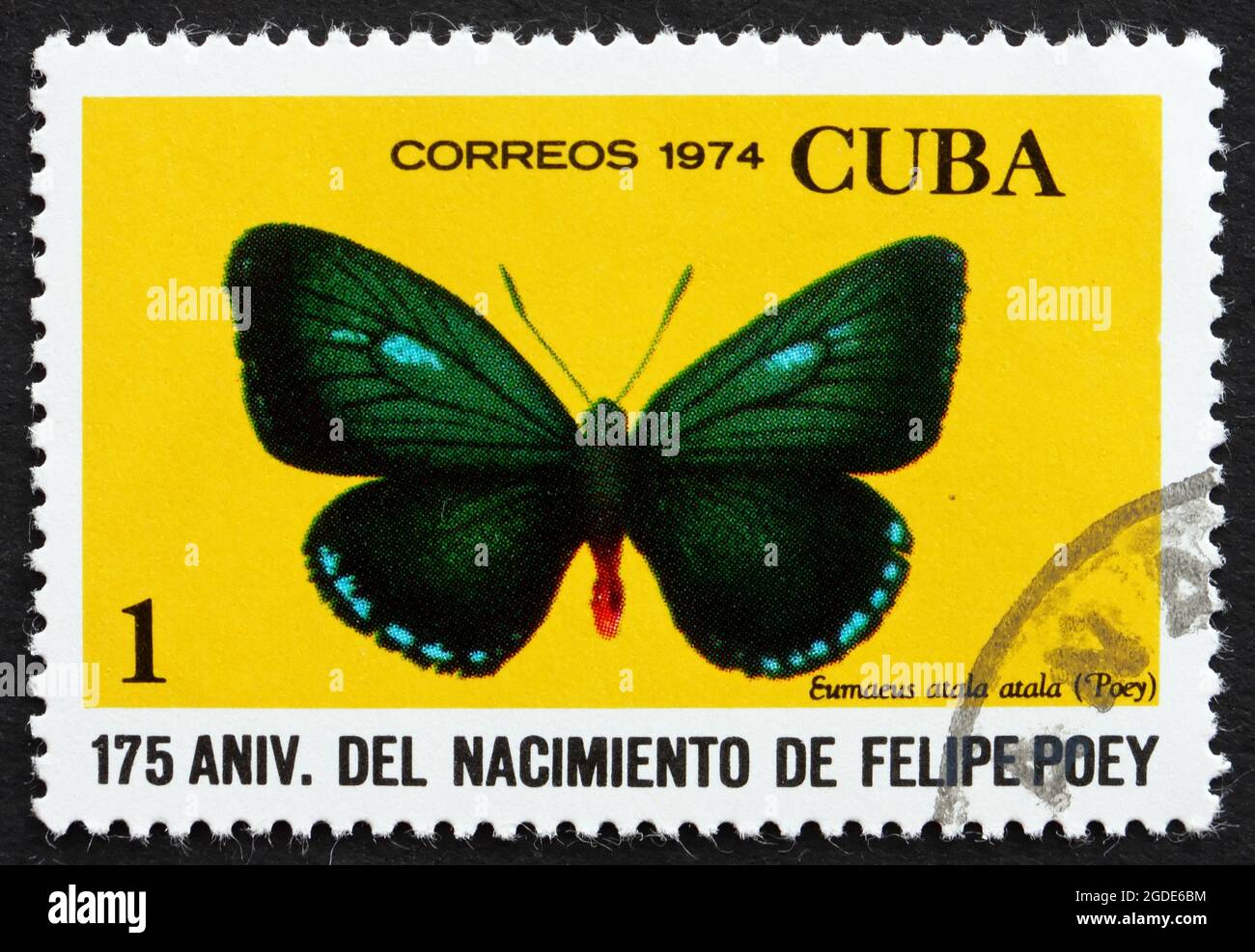 CUBA - VERS 1974 : un timbre imprimé à Cuba montre Atala, Eumaeus Atala Atala, papillon, vers 1974 Banque D'Images CUBA - VERS 1974 : un timbre imprimé à Cuba montre Atala, Eumaeus Atala Atala, papillon, vers 1974 Banque D'Images