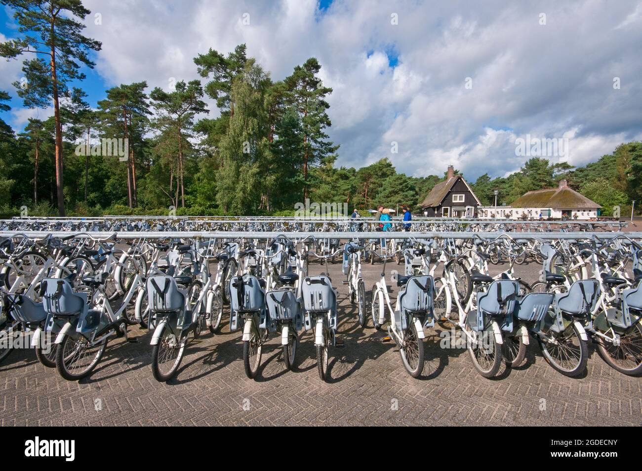 Parking vélo à l'entrée du parc national de Hoge Veluwe, pays-Bas Banque D'Images