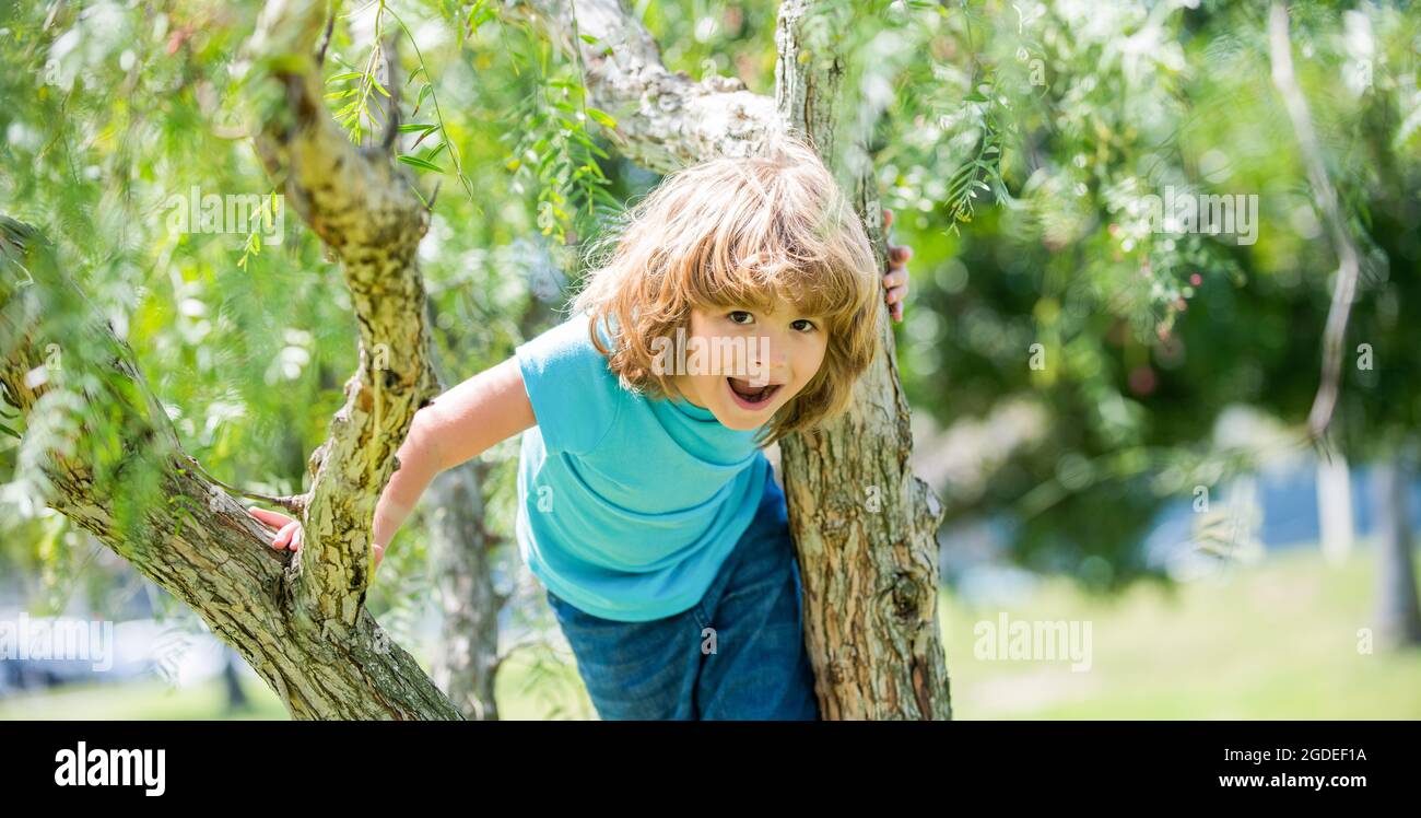 Joyeux garçon énergique enfant grimper arbre été à l'extérieur, l'escalade des arbres Banque D'Images