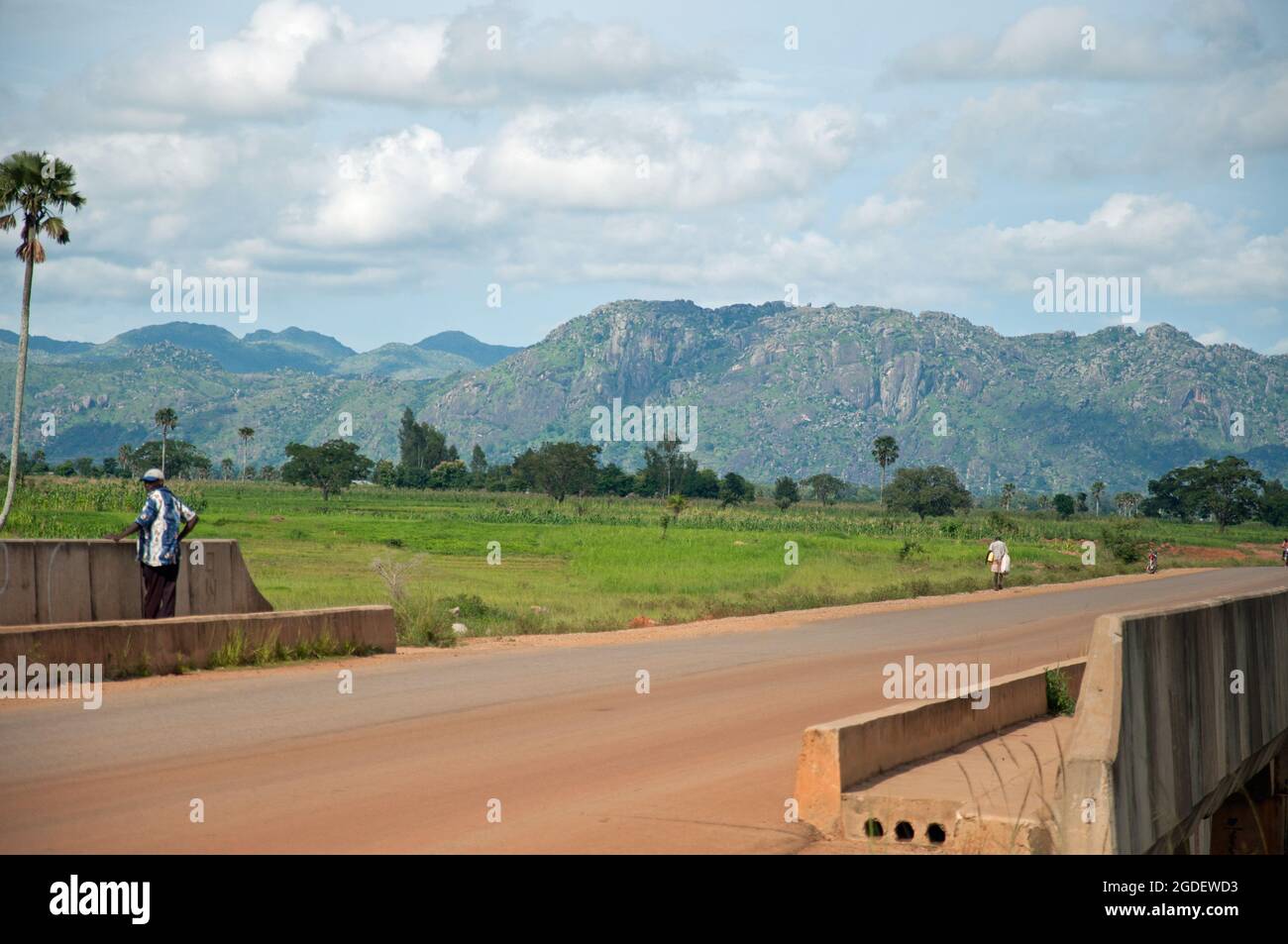 Panorama africain, Etat de Kaduna, Nigéria. Maïs poussant avec des palmiers et des montagnes (plateau de Jos) au loin. Homme debout sur le pont en appréciant Banque D'Images