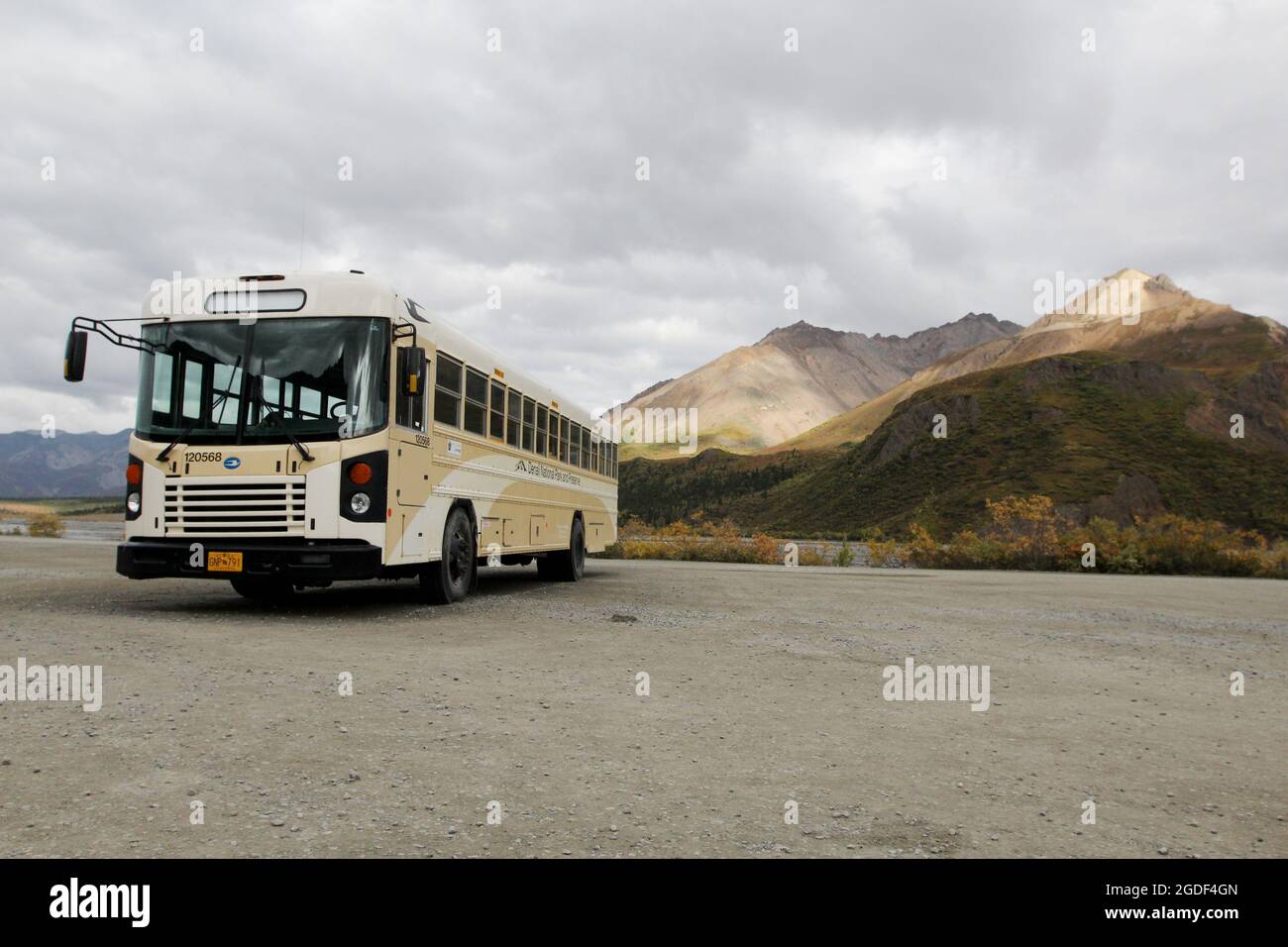 Bus für Touristen für die Sightseeingtour/Bustour im Denali Park, Alaska, États-Unis. Banque D'Images