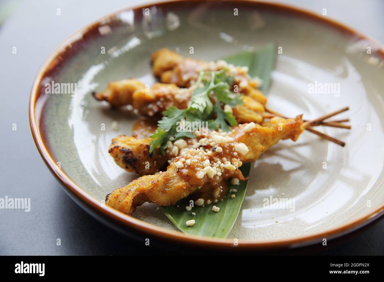 satay de poulet, sate l'ayam et le lontong avec une sauce aux arachides Banque D'Images