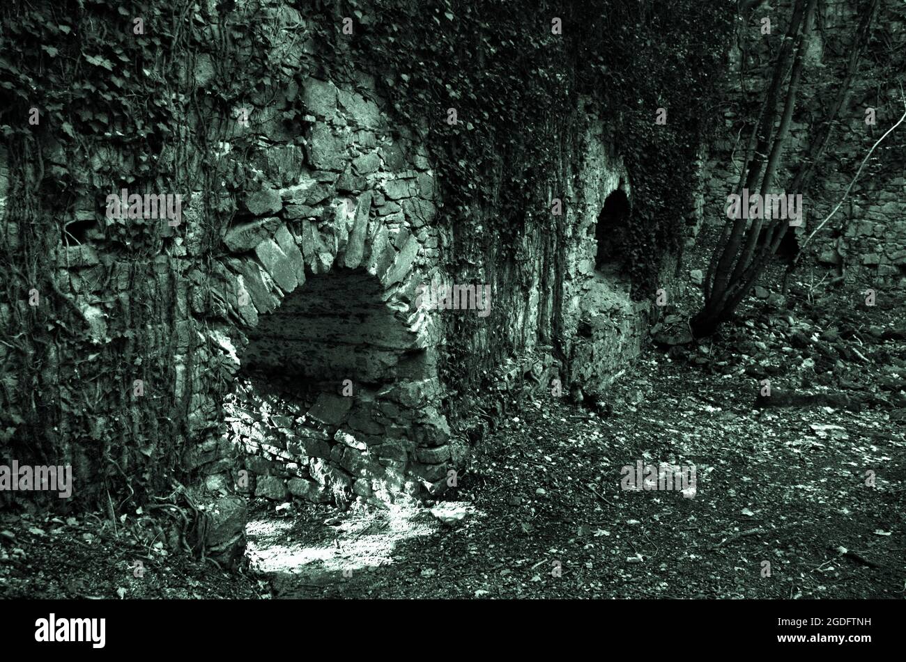 Vieilles ruines historiques du château de Scharfeneck avec fenêtre en pierre et soleil clair noir et blanc. À l'intérieur d'une ruine historique. Humeur effrayante. Un château abandonné. Banque D'Images